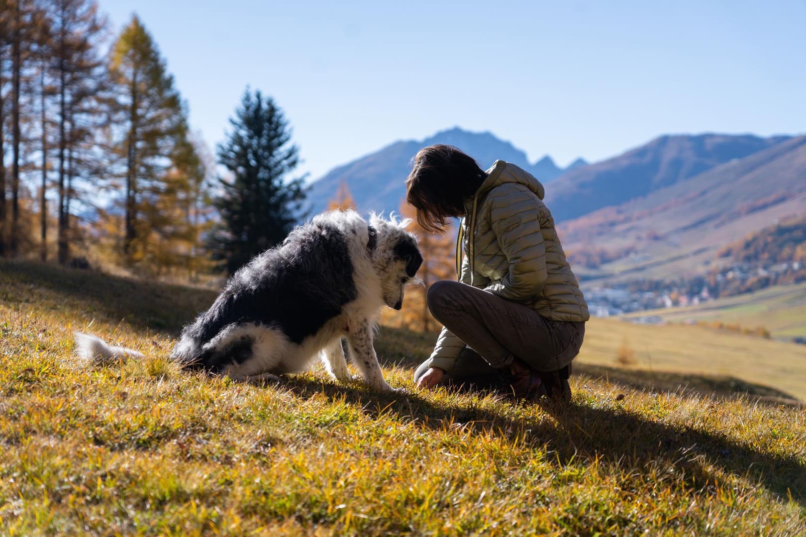 Tierenergetikerin und Tiertherapeutin in der landschaft