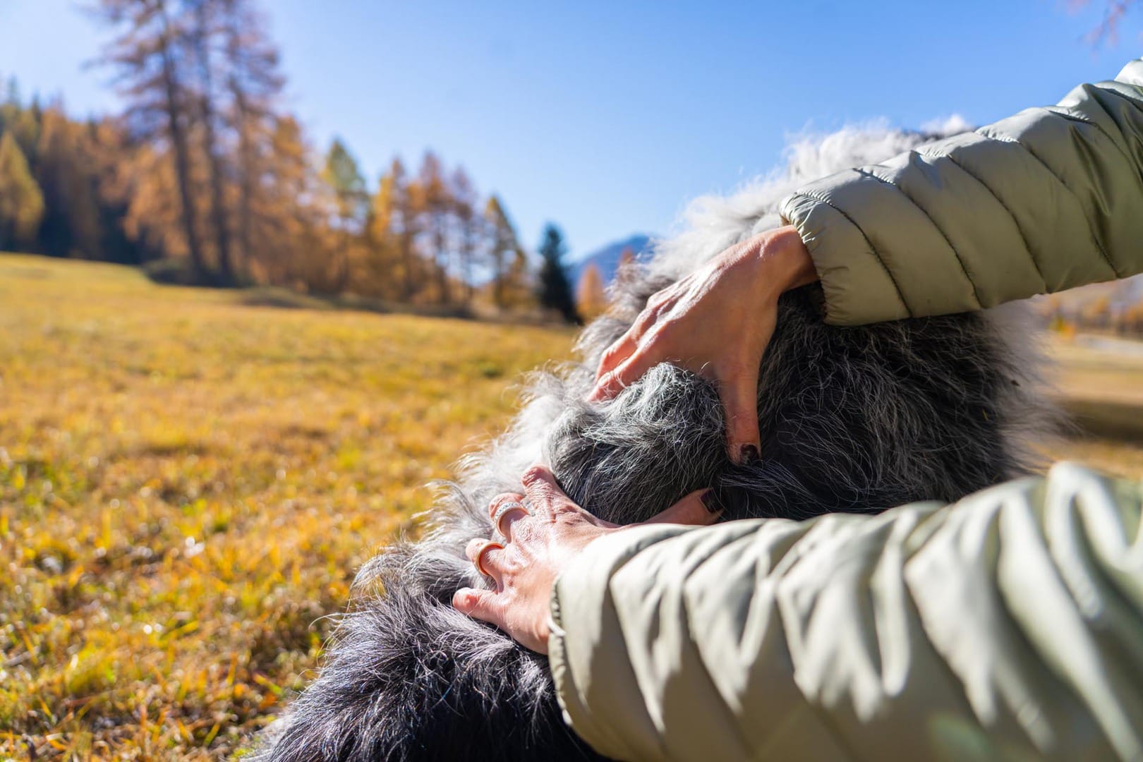 tierkommunikation mit dem hund